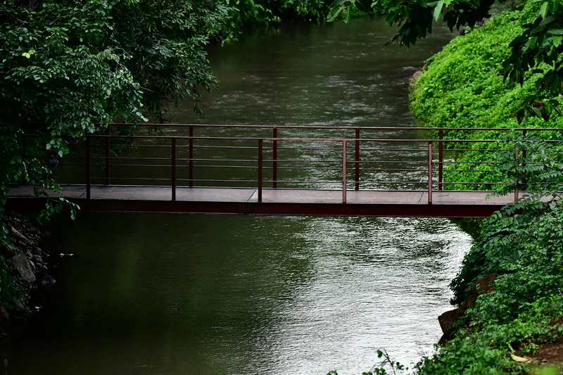 Why Are Wooden Foot Bridges Perfect for Outdoor Portraits