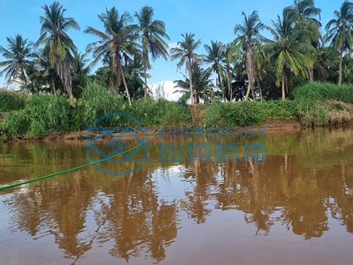 Somalia 64-meter D-shaped Single-Span Modular Steel Bridge