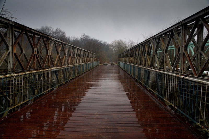 bailey bridge is the highest bridge in the world_4