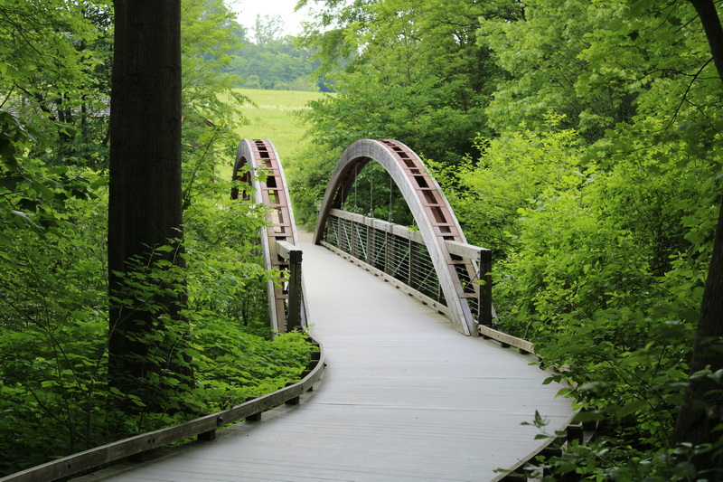 What Makes Cedar Foot Bridge 5 Unique Compared To Other Footbridges.jpg