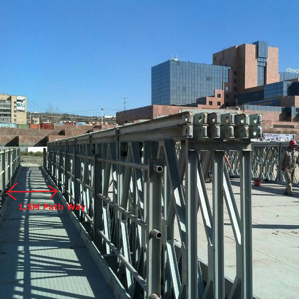 Temporary or Permanent Choosing the Right Bailey Bridge Setup (2)