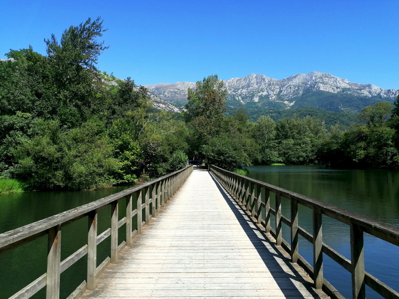 How To Make A Foot Bridge Drawing Look Professional?