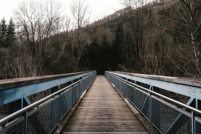 What Are The Most Popular Themes for Foot Bridge Makeovers.jpg