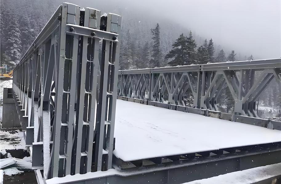 Custom Modular Bridges