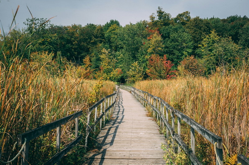 can i build a foot bridge in shoreland zone maine_1