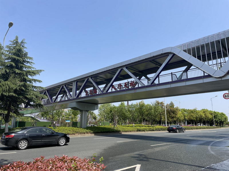 What's the Cheapest Way to Build a Creek Footbridge.jpeg