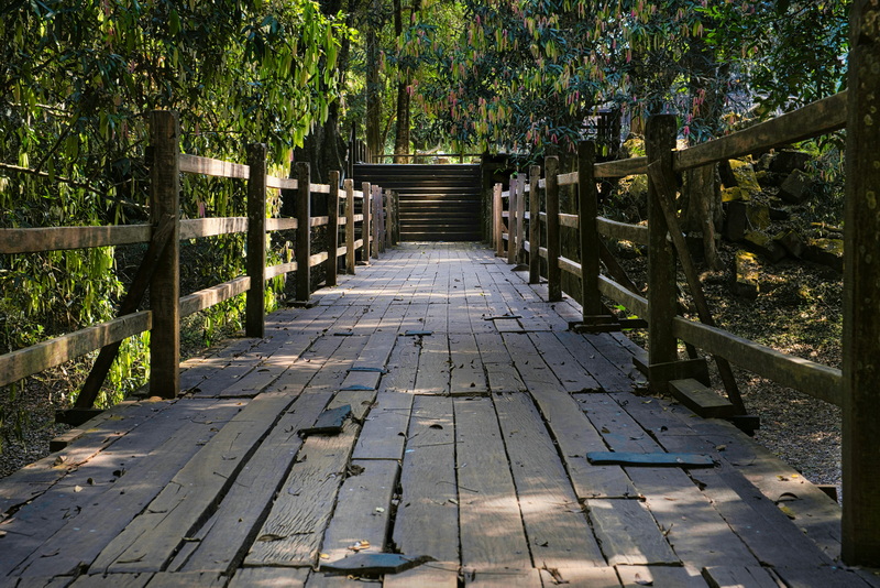 Why Are Cable Foot Bridges in Taiwan Popular with Hikers