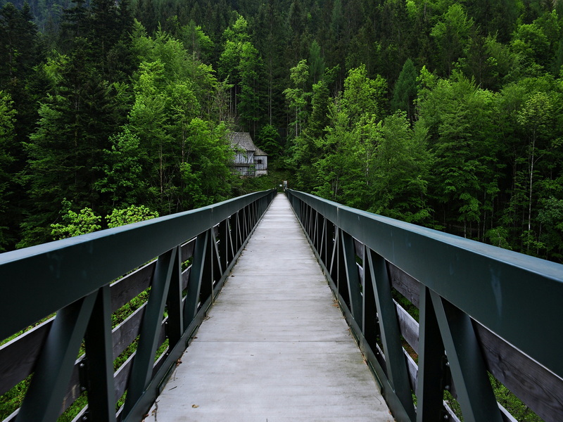 How To Install A Small Garden Foot Bridge Over A Pond.jpg