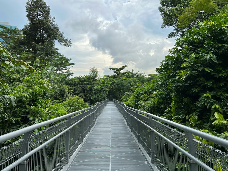 What Materials Are Best for A Foot Bridge Over A Water Feature.jpg