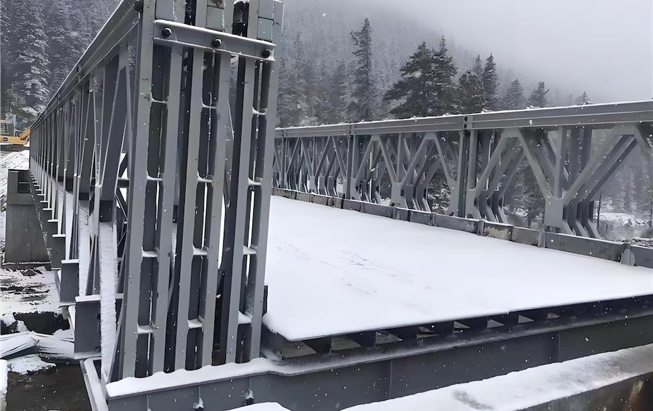 Modular Bridge