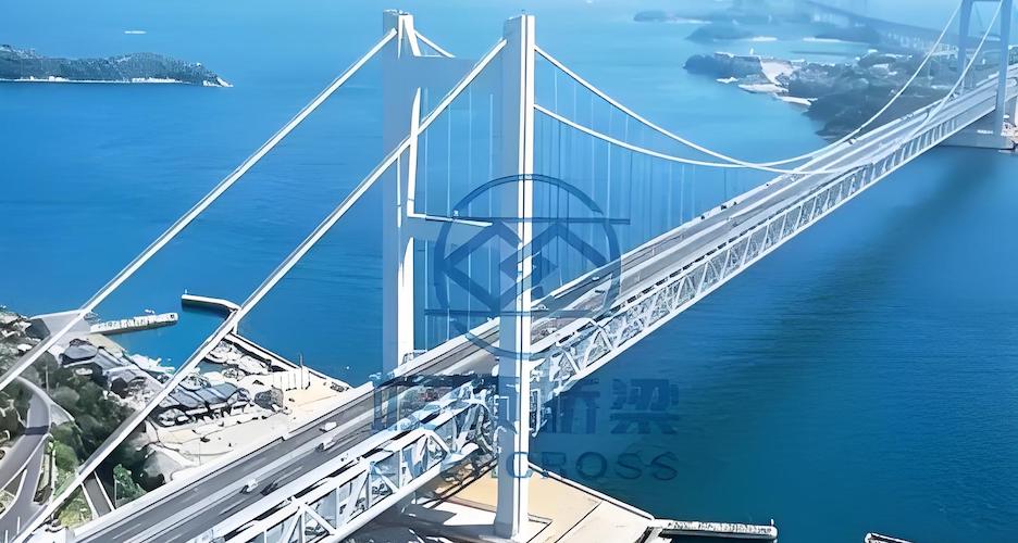Custom Steel Cable Suspension Bridge Manufacturers.jpeg