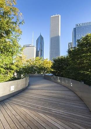 bridge1