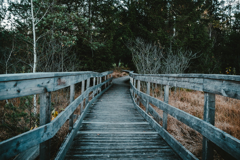can you cross the peace bridge on foot_3