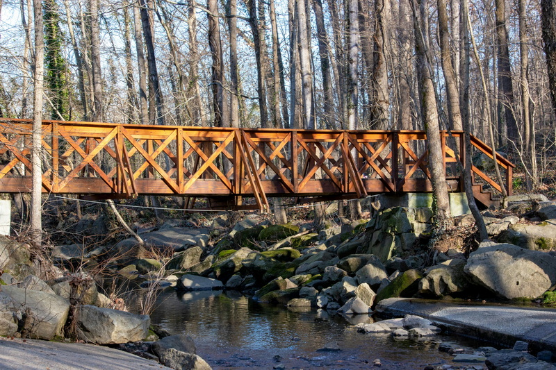 Is Building A Foot Bridge Expensive in 2025