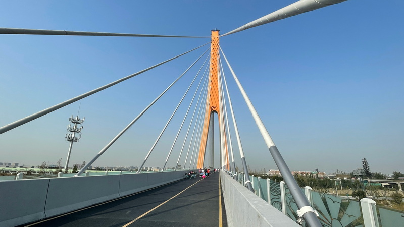 Cable Stayed Bridge Design Services in Germany