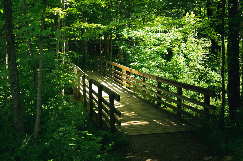 can fly but cant walk across foot bridge_1.jpg