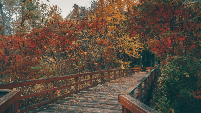 how to get on brooklyn bridge by foot_3
