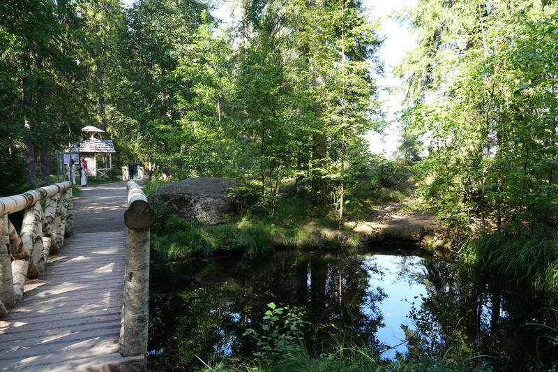how to build a small foot bridge_2.jpg