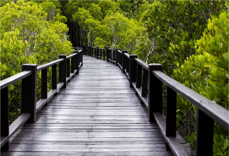 why does the bridge of my foot hurt_3