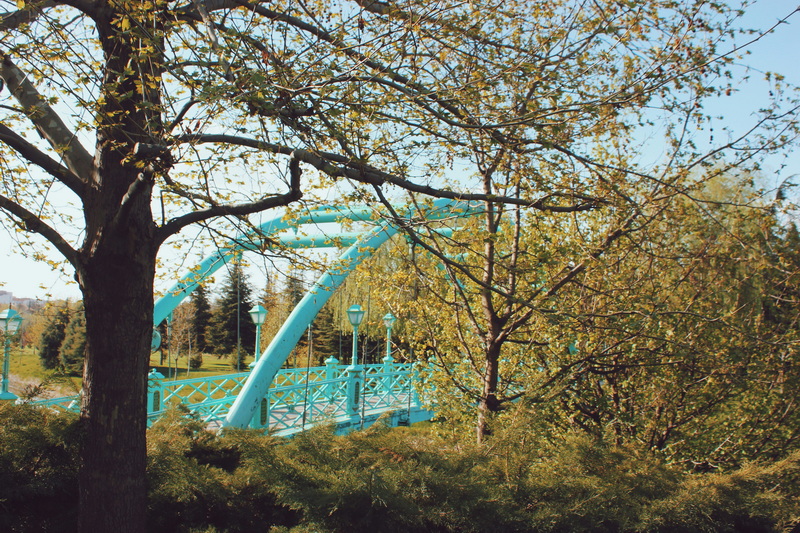 Steel Bridge Engineering Companies China