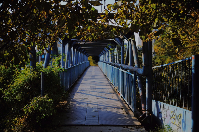 Bridge Construction Companies France
