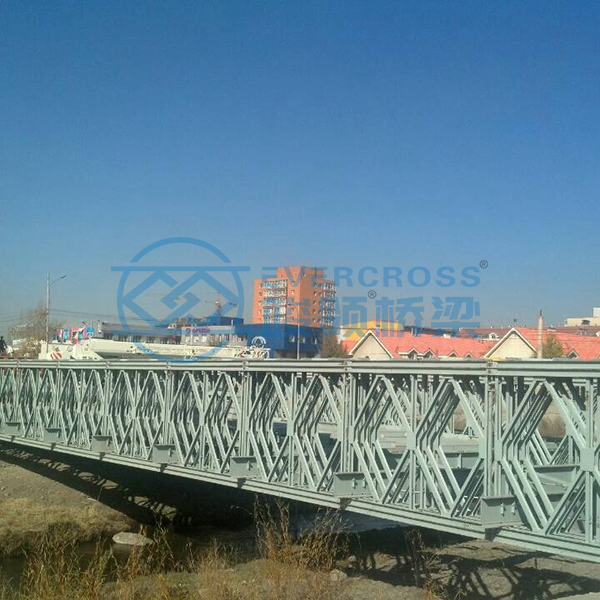 Bridge Selection for Infrastructure Projects