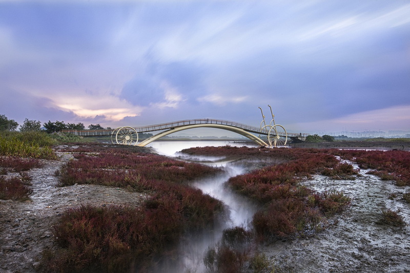 cornell steel bridge_3_1
