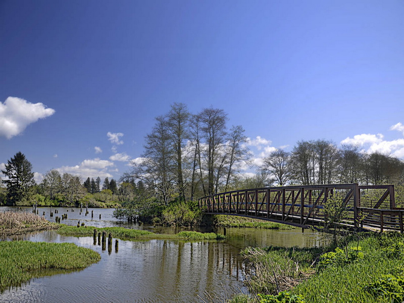 Which London Foot Bridge Offers The Best Views