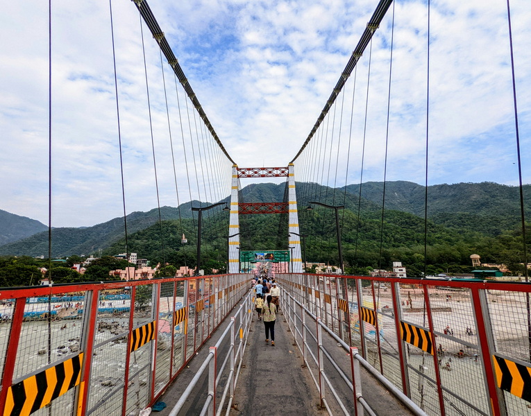 Which Type of Wood Lasts Longest for Outdoor Foot Bridges