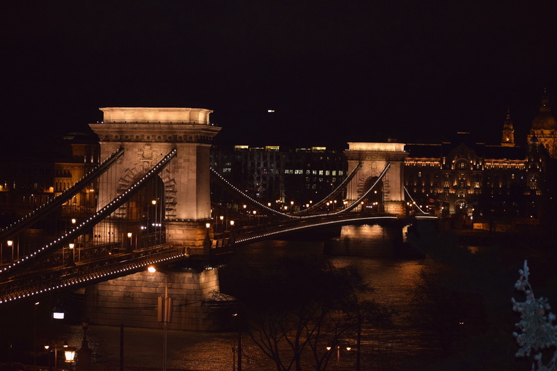 The Key Features of The Donald Bailey Bridge_3