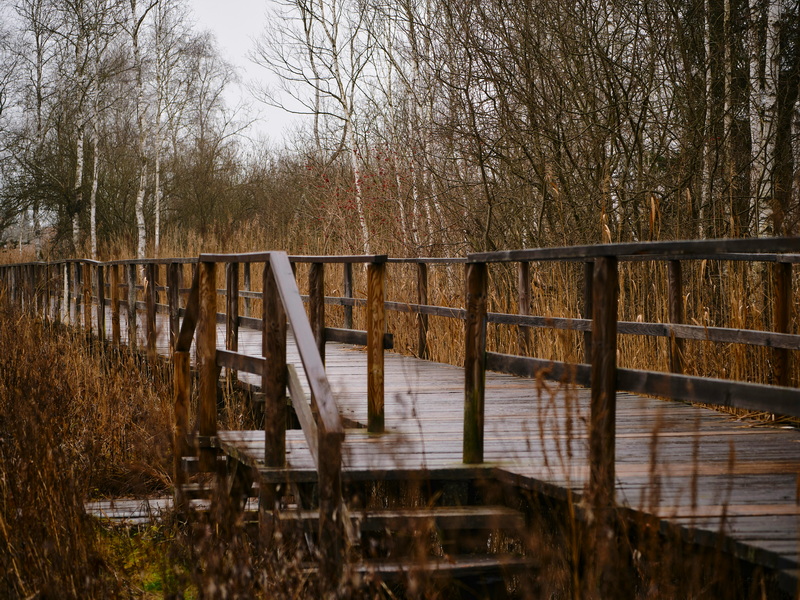 How Do Triphammer Foot Bridges Handle Heavy Traffic.jpg