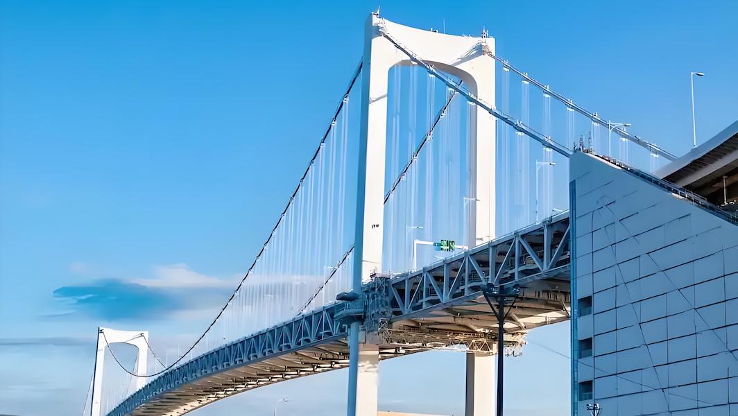 Steel Rope Bridge Manufacturers