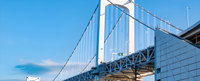 //iororwxhmqkplp5m.ldycdn.com/cloud/lrBpmKrklkSRlljpjpiijq/Steel-Cable-Suspension-Bridge-Manufacturers.png