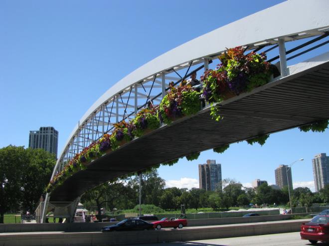 bridge2